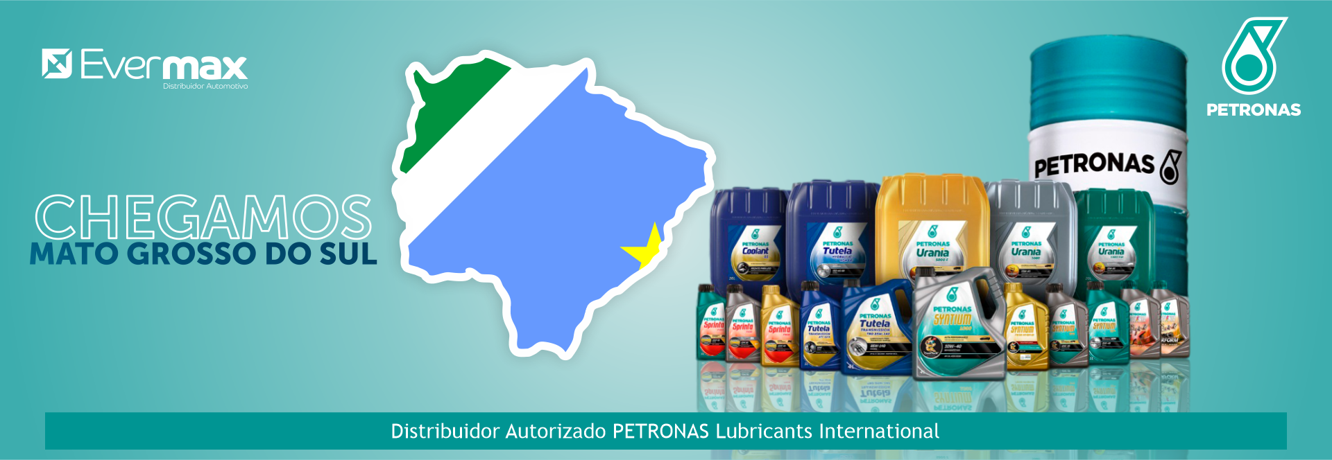 EVERMAX DISTRIBUIDOR AUTOMOTIVO